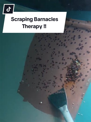 Scraping Barnacles: A Therapeutic Dive Experience