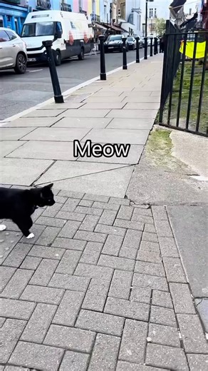 If I hear this stupid fart synth sound effect one more time I will uninstall the whole app and sell all of my stock @FTC @USCPSC @US_FDA @FBI @DHSgov