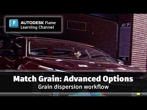 Match Grain: Advanced Options - Flame 2025