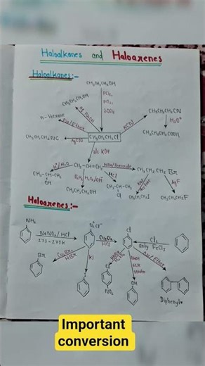class 12th chemistry chapter Haloalkanes and Haloarenes Important conversion flowchart