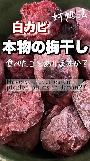 本物の梅干し！白カビ？対処法！見分け方！#japanesefood
