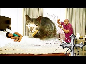 JE SUPPLIE TOUS LES PARENTS DE REGARDER CE FILM MAINTENANT AVANT QU’IL NE SOIT TROP TARD | FILM