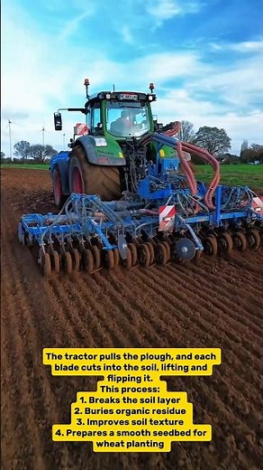 Professional Wheat Plowing and Seeding Using a Modern Tractor & Multi-Blade Plough