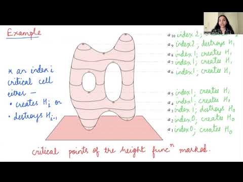 Extending persistence using Poincarè and Lefschetz duality [Kushagri Sharma]