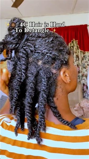 4C Hair Is Hard to Detangle? You’re Doing It Wrong 👀. #4chair