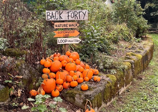 Watch: How to spend a practically perfect fall day in Langley, B.C.