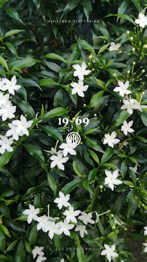 Feel the history. Breathe the identity 🖤💙 Discover Inter 19-08 Black and Inter 19-08 Blue 🤩 Inter X 19-69 👉 https://bit.ly/4rdfamw | Inter