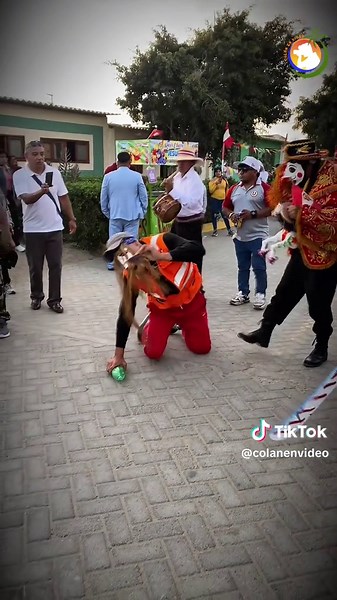 “La tradición no olvida. Y en esta fiesta de Santiago, los moros llevan consigo el recuerdo vivo del amigo que partió, como si aún danzara a su lado.” #Colán #FiestaPatronal #colanenvideo #siguiendo #Viral #paratiiiiiiiiiiiiiiiiiiiiiiiiiiiiiii #SantiagoApóstol #perú #Santiago2025 #costumbres #piura #danzadelcaballito #tradicion #fyp #CapCut @djlanco/paita/Colán/Perú.