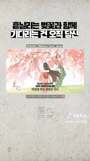 Myuk - Sakura: Enjoy Cherry Blossom Melodies