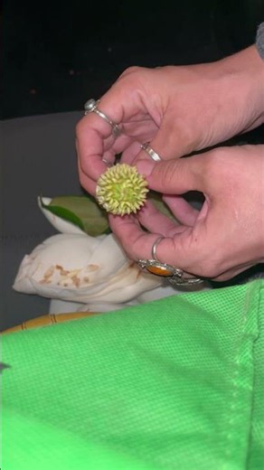 Here’s what a magnolia flower looks like at the center