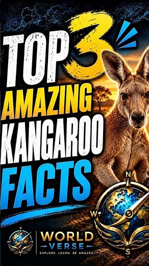Top 3 Amazing Kangaroo Facts 🦘 You Won’t Believe #1! #shorts #shortsfeed #shortsviral #australia