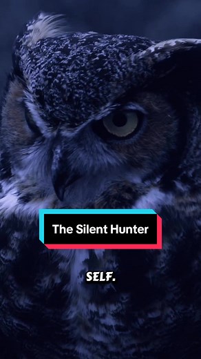 Owls: Silent Hunters of the Night Revealed