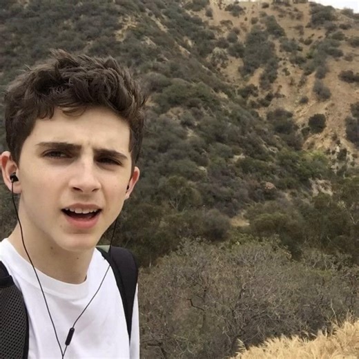 last time reposting (hopefully) #fyp #2hollis #timotheechalamet #timmytim #actor