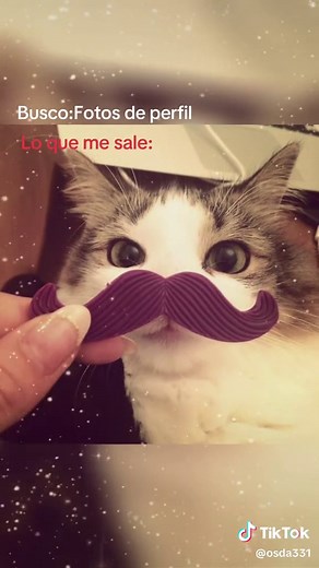 Cómo Encontrar las Mejores Fotos de Perfil