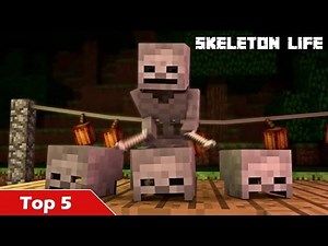 Top 5 Skeleton Life Minecraft Animations (Best Minecraft Animations)