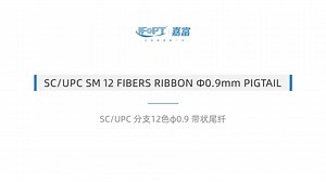 JFOPT SC 12-Core Optical Pigtail 50/125 & 9/125 Singlemode Fanout Fiber Cable with 12 Colors OM3 OM4 OM5 Compatible