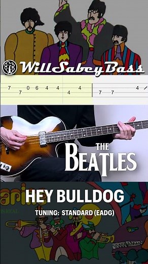 The Beatles - Hey Bulldog (Bass Line) #thebeatles #basstab #bassline #basscover #hofner #heybulldog
