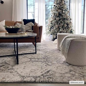 Minoa Area Rug - Neutral Moroccan Farmhouse Rug | Boutique Rugs