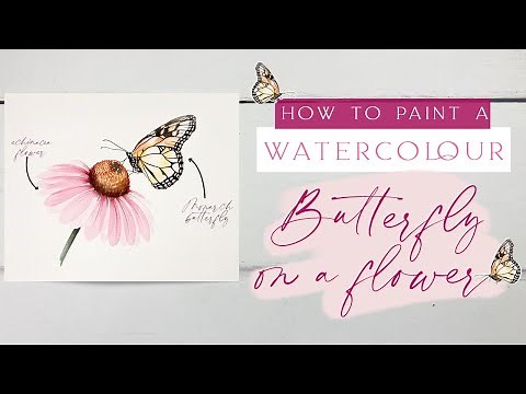 Watercolour Butterfly On A Flower Tutorial | Monarch Butterfly on an Echinacea Flower