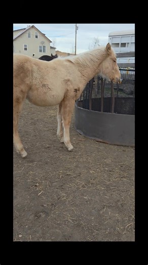 1K views |  Winter & Hay Management  Winter is coming… which means...