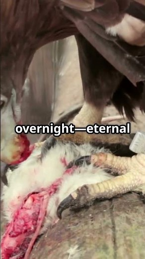 Prometheus: The Theft of Fire