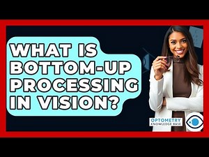 What Is Bottom-up Processing In Vision? - Optometry Knowledge Base