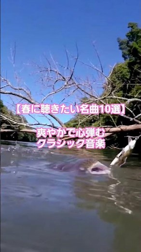 #3 🌺 Blooming Classics: 10 Pieces for Spring Renewal & Creativity