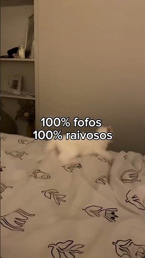 animais muito fofinhos 🐾♥️