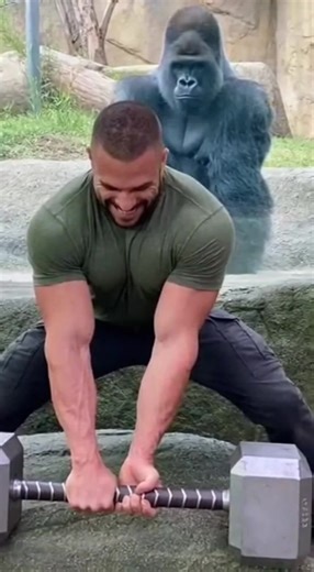 Strength Challenge: Man vs. Silverback Gorilla Showdown