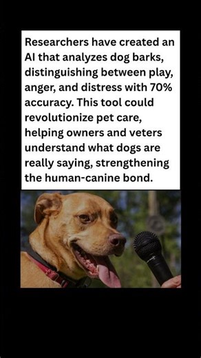 Scientists Just Invented a Dog Translator! #dog #news #shorts