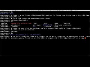 Getting Started with Cellranger Multi for 5' V(D)J: Generate and Explore the Output Files