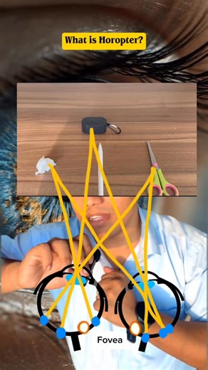 Kaustubh Gaikwad on Instagram: "Episode 3 👀 Binocular Vision Series What is Horopter? In this episode, you’ll understand what the horopter is and why it plays a key role in binocular vision and single, clear perception. Stay tuned , next episode: Panum’s Fusional Area ✨##instagram #india #ophthalmologist #optometrist #ophthalmologyresidency #optometrystudent #optometryschool #ophthalmologists"