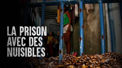 Comment survivre à une infestation d'insectes en prison