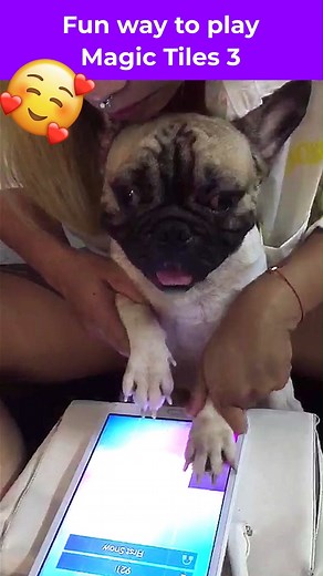 Share your fun way to play Magic Tiles 3 😉 🤩Download and Enjoy #Magictiles3: https://magictiles3.onelink.me/F6aD/MT3FB | Magic Tiles 3