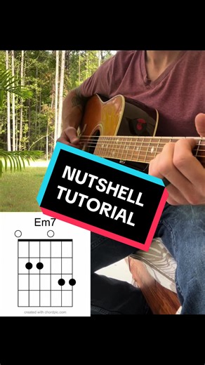Nutshell Guitar Tutorial: Learn Alice in Chains Acoustic