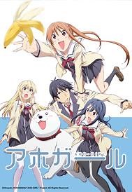 Aho-Girl | ANIPLUS