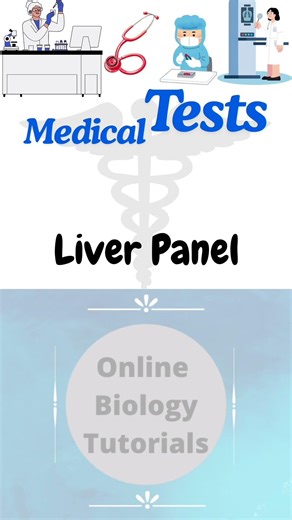 Liver Panel I Diagnostic test I Pathology test I Pronunciation