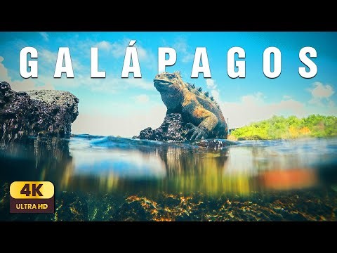 Galápagos – The Islands of Time | Relaxing Ocean Ambience & Nature Sounds 4K