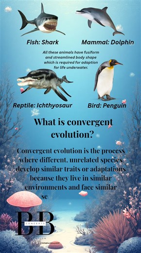 Convergent evolution #biology #biologyshorts #yt #ytshorts #ytshortsvideo #ytviral #youtubeshorts