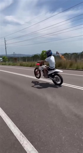 Exploring Bikelife: The Art of Wheelies