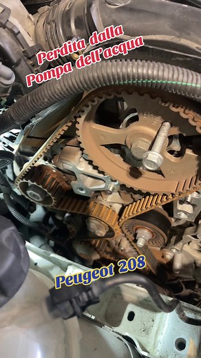 Sostituzione Cinghia Distribuzione e Pompa Acqua Peugeot 208