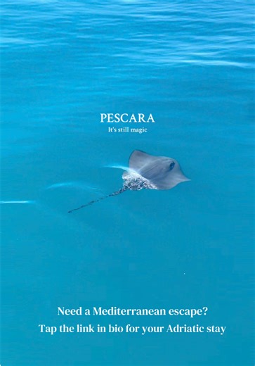 Need a Mediterranean escape? Try Pescara 🐬 📍Link in bio: airbnb.com/h/pescaravibes #pescara #fyp #foryoupagе #adriaticsea #Abruzzo