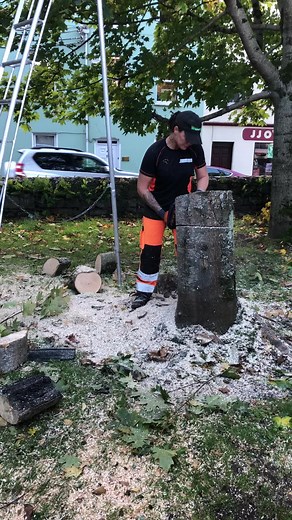 Iulia tree surgeon on TikTok