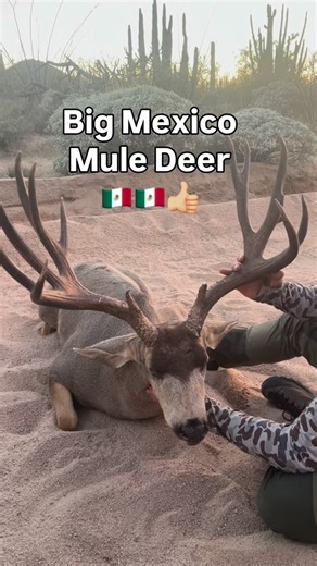 Jay Scott 🇺🇸 on Instagram: "Mexico Hunt Archives 🇲🇽 January 2023. @lorenzo_gohunt with his largest Mexico mule deer from one of our properties in Sonora 🌵🇲🇽❤️ @gohunt @cramerhunts 🤩 What will 2026 bring? 🙌🏻"
