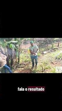 How to use artificial intelligence to interpret your orchard's soil analysis