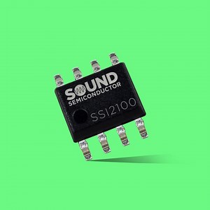 New Generation Bucket Brigade Delay IC