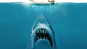 『JAWS／ジョーズ』シリーズはこの順番でみよう｜あらすじ・キャストを紹介！