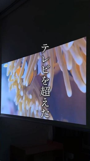 テレビを超えた…!!?