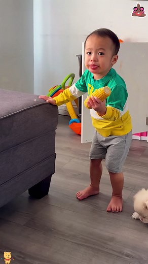 Funny Baby Poop Face Moments