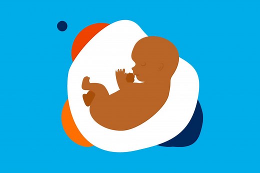 Guide de votre premier trimestre de grossesse